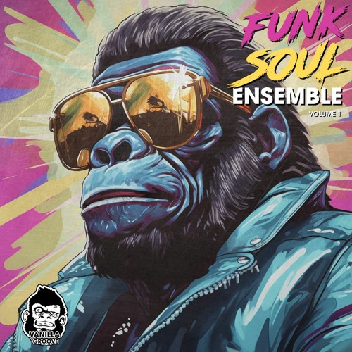 دانلود سمپل پک فانک Vanilla Groove Studios Funk Soul Ensemble Vol 1